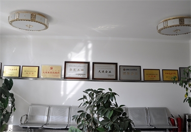 獎(jiǎng)杯展示